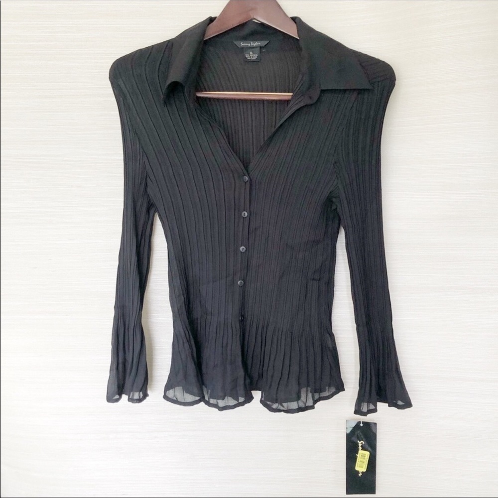 Sunny Taylor Sheer Pleated Blouse